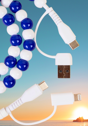 ROYAL BLUE & WHITE 4 IN 1 CHARGING CABLE